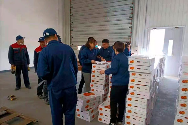 公司购买玫瑰香橙用于专项扶贫